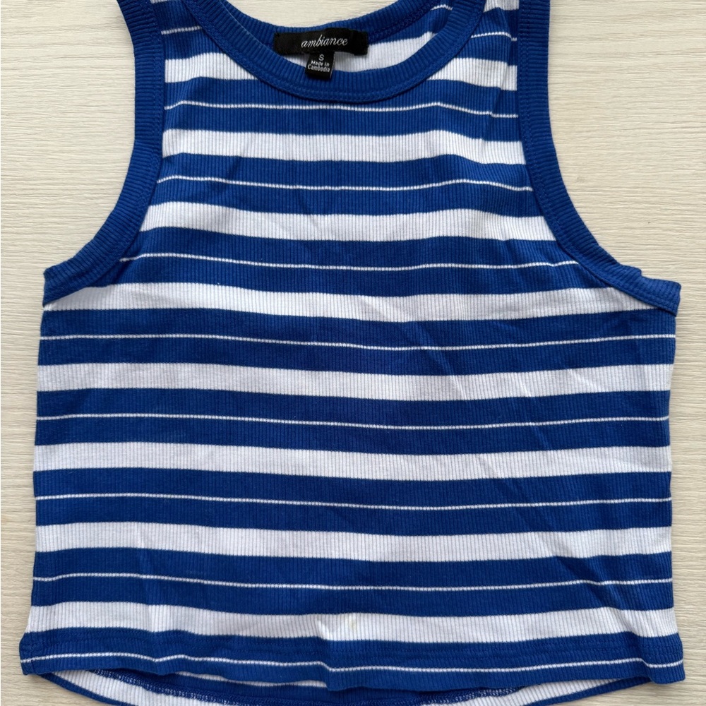 Ambiance Blue and White Striped Tank Top